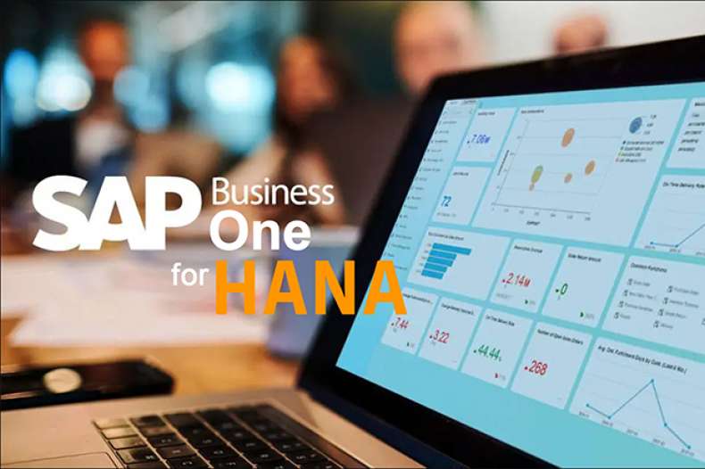 SAP Business One  For Hana